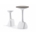 Armillaria Table Structure - Imagen 1
