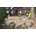 Bold Table Structure / 2016 diseño Giulio Iacchetti - Imagen 2