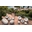 Boom Armchair / 2022 diseño Marco Gregori - Imagen 1