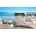 Fade Dining Table Structure / 2021 diseño Marco Gregori - Imagen 2