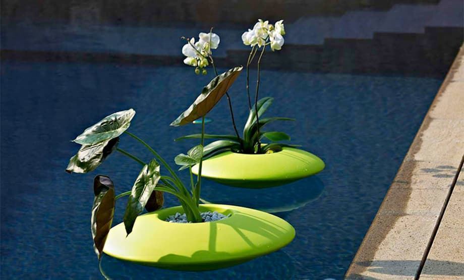 Macetero/Contenedor Ninfea - Imagen 2