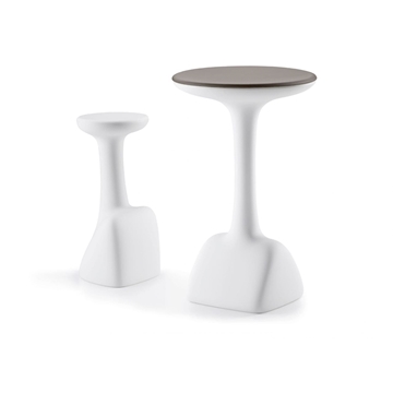 Mesa Armillaria - Imagen 1