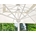 RIO - Imagen 2